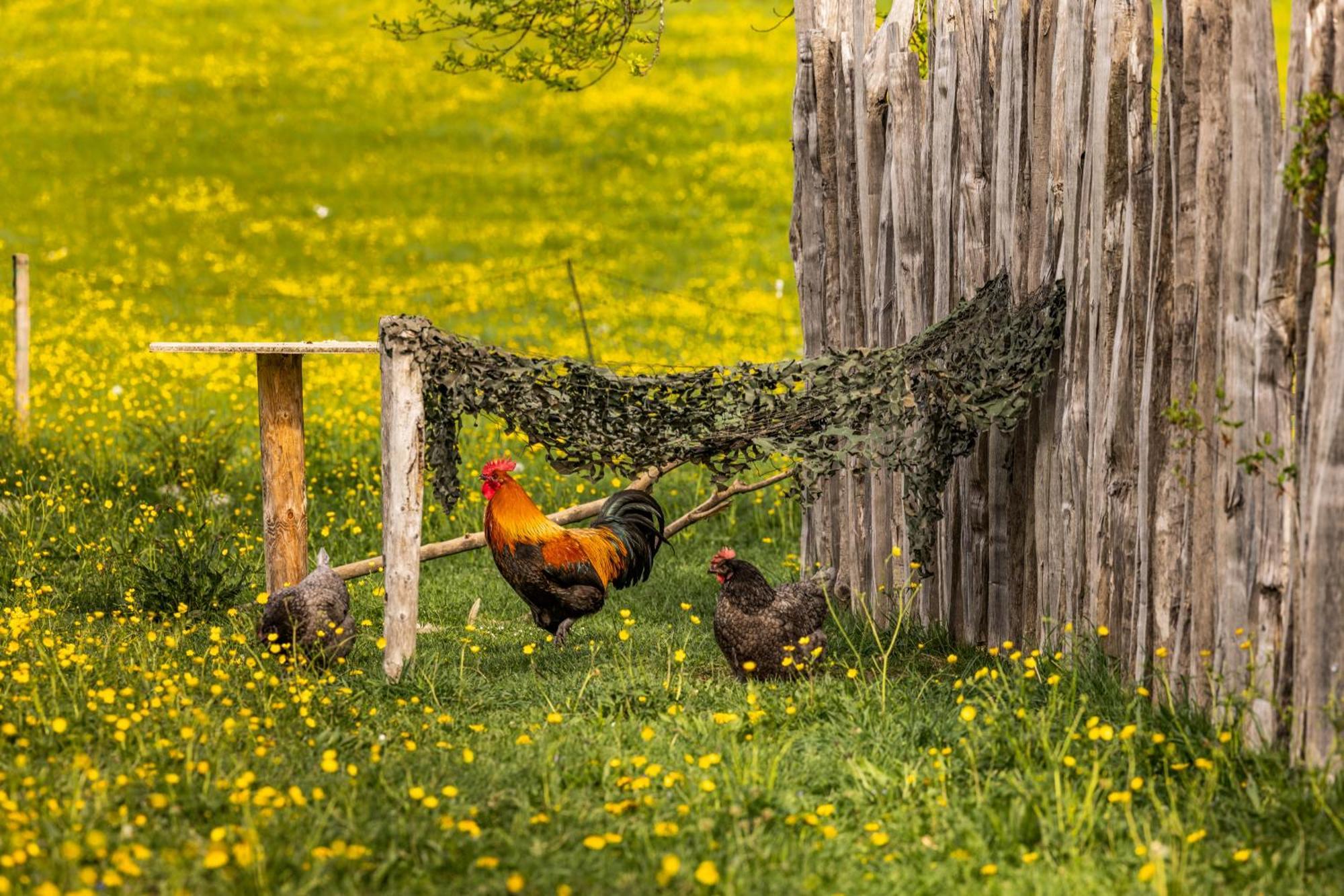 Ferienwohnungen Am Gablerhof Bad Reichenhall Bagian luar foto