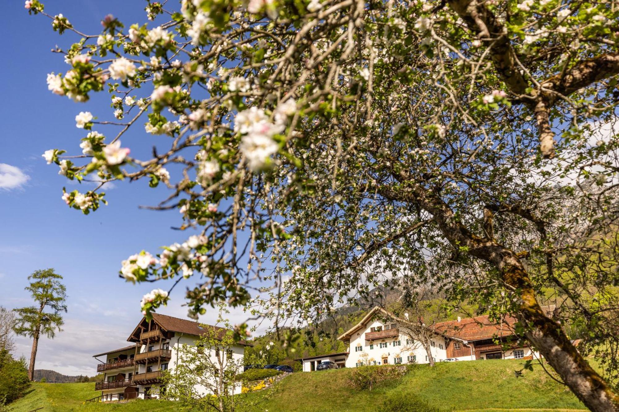 Ferienwohnungen Am Gablerhof Bad Reichenhall Bagian luar foto